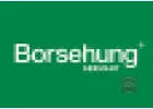 Запчастини Borsehung в наявності в магазинах VagLife