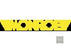 Запчастини Monroe в наявності в магазинах VagLife