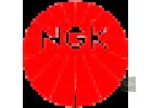 Запчастини NGK в наявності в магазинах VagLife