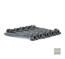 Болти головки Octavia 1.6-2.0/ А5 Corteco