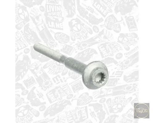 Болт кріплення форсунки WHT003187 для Skoda / VW / Audi / Seat (VAG)