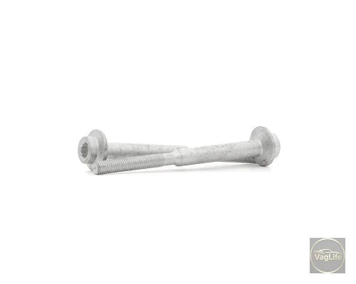 Болт кріплення форсунки WHT004739 для Skoda / VW / Audi / Seat (VAG)