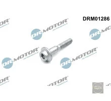 Болт кріплення форсунки Skoda / VW 1.4TDI оригінал М6х38х20