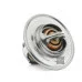 Термостат САМ 032121110F (FE30694) для Skoda / VW / Audi / Seat (VAG)