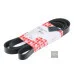 Пас генератора 078903137AN (39793) для Skoda / VW / Audi / Seat (VAG)