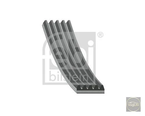 Пас генератора 028903137AP (FE28864) для Skoda / VW / Audi / Seat (VAG)