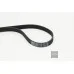 Пас генератора 6Q0260849A (6PK1733) для Skoda / VW / Audi / Seat (VAG)