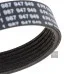 Пас генератора 03L903137H (1987947949) для Skoda / VW / Audi / Seat (VAG)
