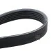 Пас генератора 03L903137H (6PK1555) для Skoda / VW / Audi / Seat (VAG)