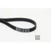 Пас генератора 03L903137H (6PK1555) для Skoda / VW / Audi / Seat (VAG)