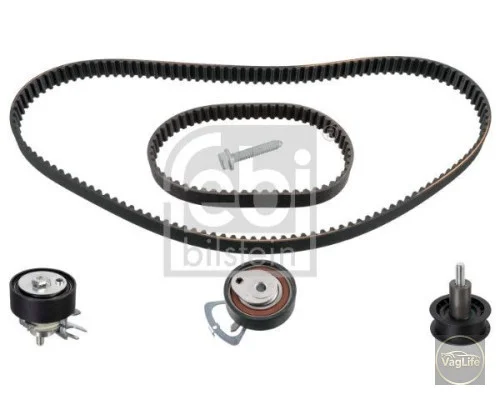 Комплект ГРМ 036198119C (FE33913) для Skoda / VW / Audi / Seat (VAG)