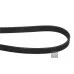 Пас генератора 038903137J (1987947978) для Skoda / VW / Audi / Seat (VAG)