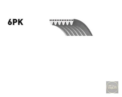 Пас генератора 038903137J (1987947978) для Skoda / VW / Audi / Seat (VAG)