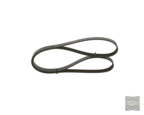 Пас генератора 038903137T (1987948491) для Skoda / VW / Audi / Seat (VAG)