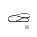 Пас генератора 038903137T (1987948491) для Skoda / VW / Audi / Seat (VAG)