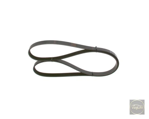 Пас генератора 038903137T (1987948491) для Skoda / VW / Audi / Seat (VAG)