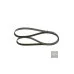 Пас генератора 038903137T (1987948491) для Skoda / VW / Audi / Seat (VAG)