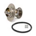 Термостат САМ Oct Fab Fel Room Supb 1.9-2.0TD оріг 44121113 для Skoda / VW / Audi / Seat (VAG)
