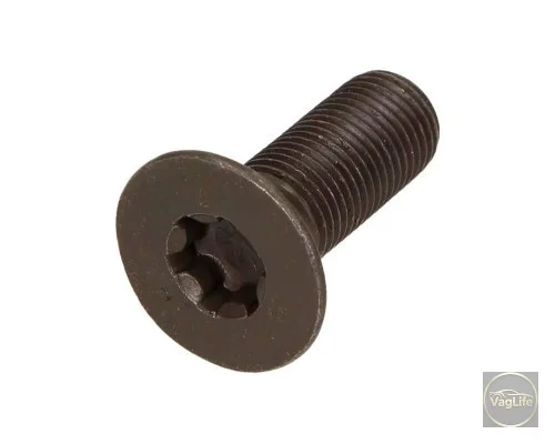 Болт регулятора фаз 06D109281D для Skoda / VW / Audi / Seat (VAG)