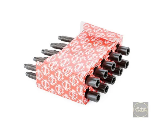 Болти головки 06A103385A (EL130830) для Skoda / VW / Audi / Seat (VAG)