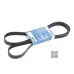 Пас генератора 6Q0260849A (1987946012) для Skoda / VW / Audi / Seat (VAG)