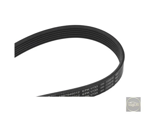 Пас генератора 6Q0260849A (1987946012) для Skoda / VW / Audi / Seat (VAG)