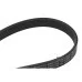 Пас генератора 6Q0260849A (1987946012) для Skoda / VW / Audi / Seat (VAG)
