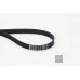 Пас генератора 03G903137B (6PK1050) для Skoda / VW / Audi / Seat (VAG)