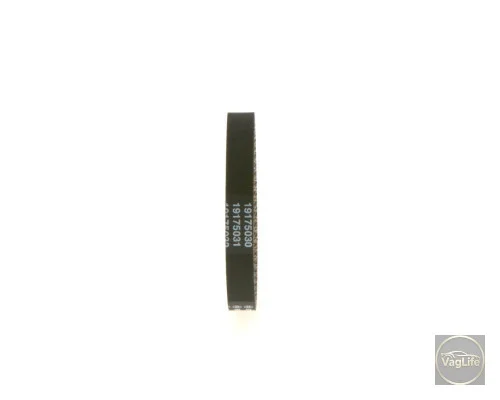 Пас привода помпи 06H121605E (1987949661) для Skoda / VW / Audi / Seat (VAG)