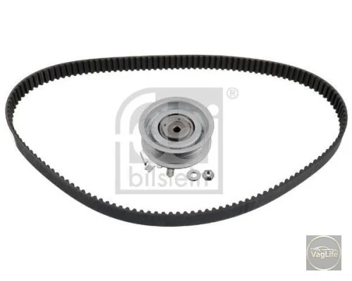 Комплект ГРМ 06A198119D (FE23634) для Skoda / VW / Audi / Seat (VAG)