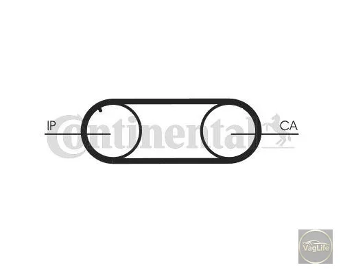 Пас ГРМ 074130113 (CT645) для Skoda / VW / Audi / Seat (VAG)
