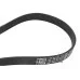 Пас генератора 03D145933AD (1987946064) для Skoda / VW / Audi / Seat (VAG)