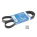 Пас генератора 038903137AA (1987947946) для Skoda / VW / Audi / Seat (VAG)