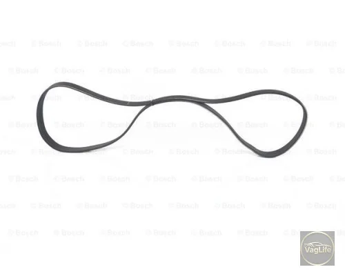 Пас генератора 038903137AA (1987947946) для Skoda / VW / Audi / Seat (VAG)