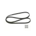 Пас генератора 036145933H (1987947547) для Skoda / VW / Audi / Seat (VAG)