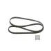 Пас генератора 036145933H (1987947547) для Skoda / VW / Audi / Seat (VAG)