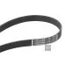 Пас генератора 06A145933D (6PK1120) для Skoda / VW / Audi / Seat (VAG)