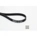 Пас генератора 06A145933D (6PK1120) для Skoda / VW / Audi / Seat (VAG)