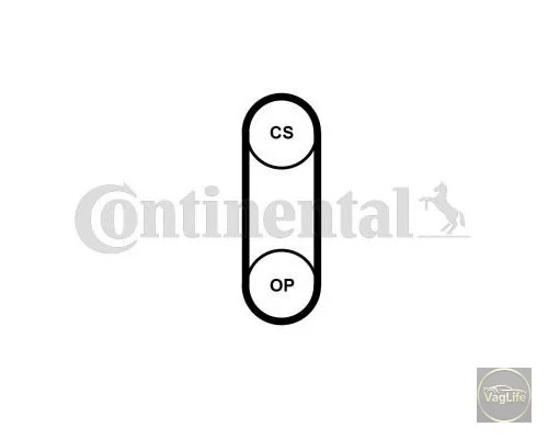 Пас оливного насосу 03L115264A (CT1204) для Skoda / VW / Audi / Seat (VAG)