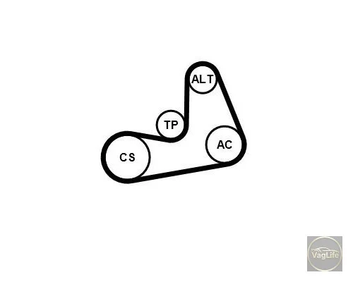 Пас оливного насосу 03L115264A (CT1204) для Skoda / VW / Audi / Seat (VAG)