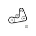 Пас оливного насосу 03L115264A (CT1204) для Skoda / VW / Audi / Seat (VAG)