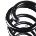Пружина задня 1K0511115CN (RA6161) для Skoda / VW / Audi / Seat (VAG)