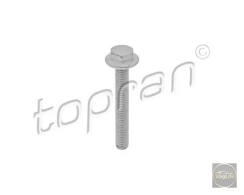 Болт M10 х 76 N10579702 (HP115806) для Skoda / VW / Audi / Seat (VAG)