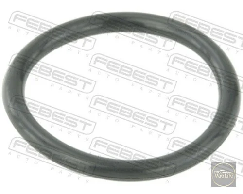 Кільце ущільн корпуса датчика температури 058121687 (RINGWH-B5) для Skoda / VW / Audi / Seat (VAG)