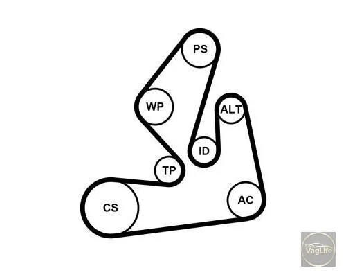 Комплект ГРМ 036198119C (CT957K3) для Skoda / VW / Audi / Seat (VAG)