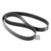 Пас генератора 036145933AJ (FE28920) для Skoda / VW / Audi / Seat (VAG)