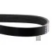 Пас генератора 036145933AJ (FE28920) для Skoda / VW / Audi / Seat (VAG)