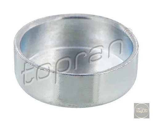 Заглушка головки блока N0119085 (HP109379) для Skoda / VW / Audi / Seat (VAG)