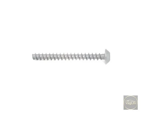 Болт кріплення дросельної заслонки N10551403 для Skoda / VW / Audi / Seat (VAG)