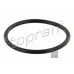 Кільце ущільн термостата 06B121119B (HP116418) для Skoda / VW / Audi / Seat (VAG)